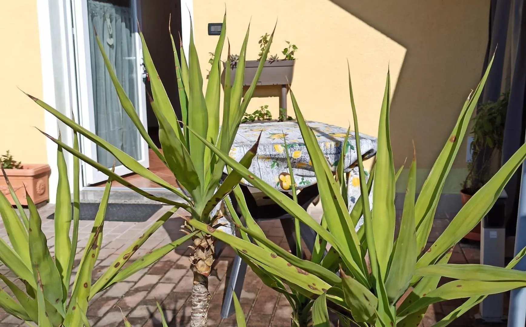 Apartament La Casetta Di Elly Puegnago