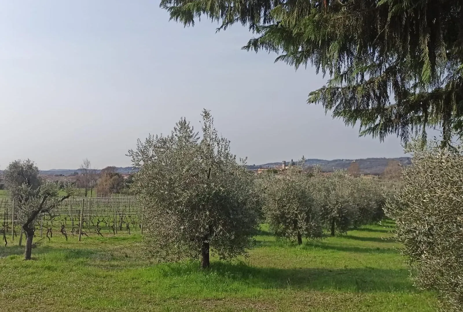 La Casetta Di Elly Puegnago